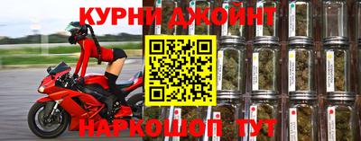 гидра Бийск