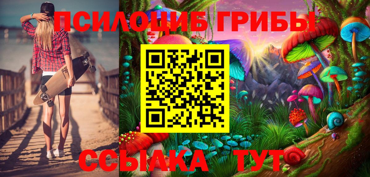 Псилоцибиновые грибы Psilocybine cubensis  Псилоцибиновые грибы прущие грибы  Вход с VPN  Кемерово 