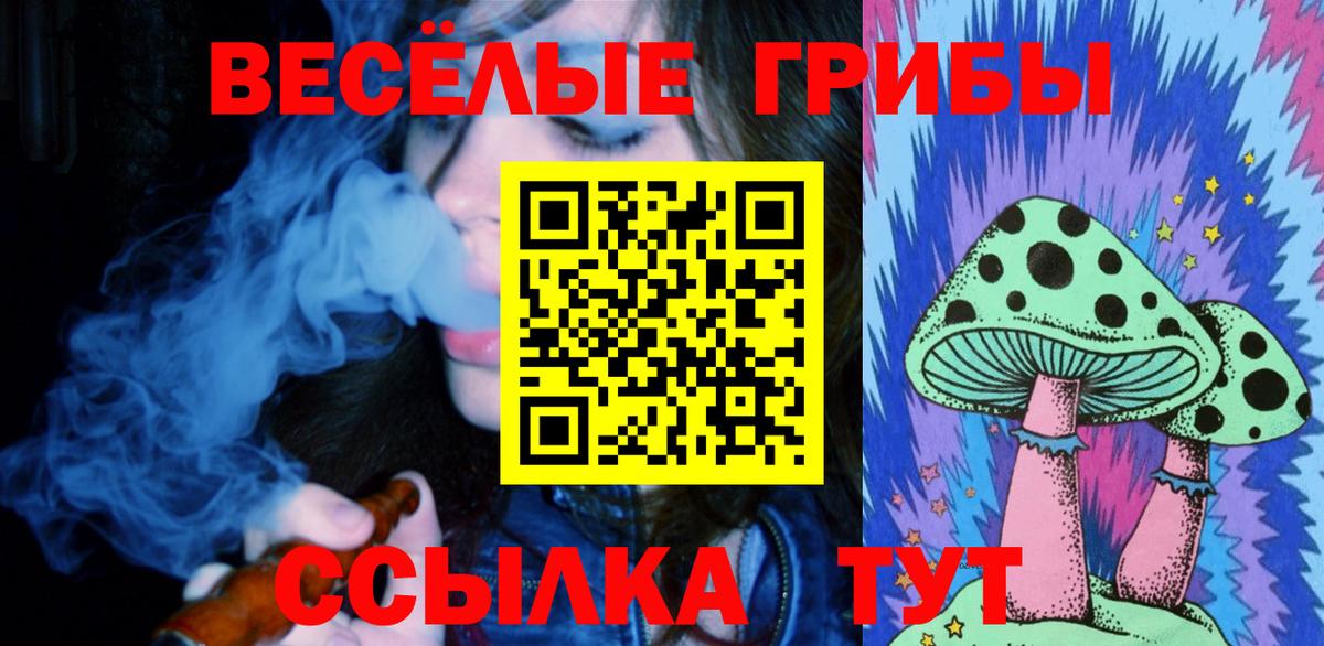 Галлюциногенные грибы Psilocybine cubensis Кемерово